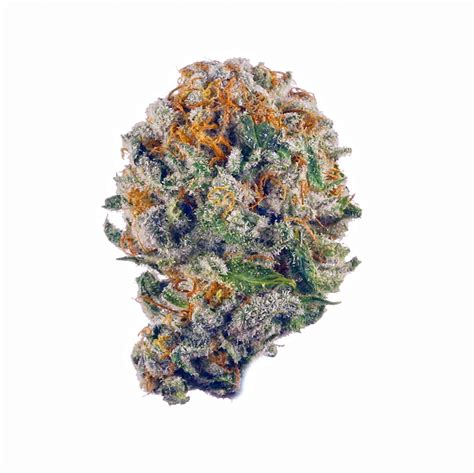 Rice krispies strain allbud  The smooth flavors of MAC have a thick zesty orange hairs that are balanced out by floral accents and a sweet earthy finish